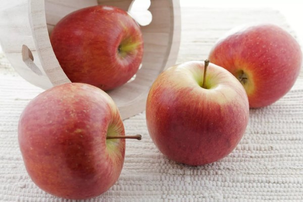 تصویر 5 از قیمت خرید سیب ژاپنی فوجی + فروش ویژه